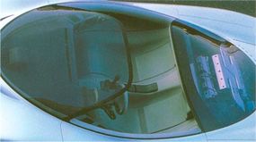 印第宽敞的玻璃温室的顶部离人行道只有42英寸。＂width=