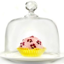 cupcake under cake dome