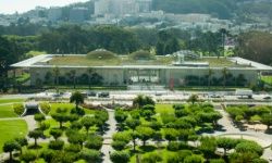 The new California Academy of Sciences building, another Renzo Piano work