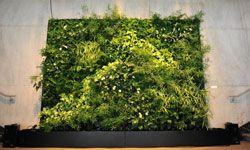 This eco-friendly green wall was on display at the Sustainable Luxury Fair in Paris in 2010.