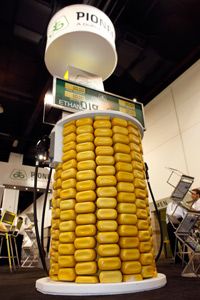 Kernels of corn are used to cover a fuel pump on display to promote ethanol fuel at the Pioneer display at the International Fuel Ethanol Workshop & Expo in the Colorado Convention Center in Denver, on June 17, 2009.”border=