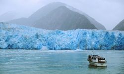 沿着阿拉斯加的特蕾西峡湾乘船游览南索耶冰川＂width=