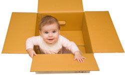 toddler playing in cardboard box
