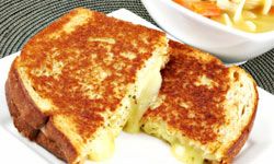 grilled cheese sandwich