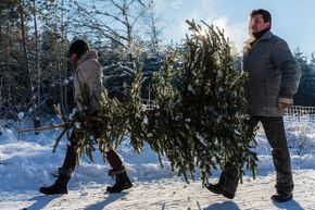 Christmas trees, even real ones, aren't that likely to catch on fire.