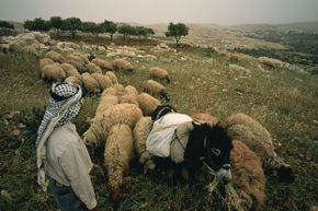 The presence of shepherds in the fields during Jesus' birth could be one clue it didn't take place in December.