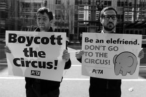 People for the Ethical Treatment of Animals, better known as PETA, has fiercely advocated for circus animals for years.