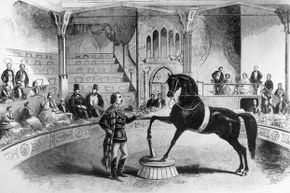 Queen Victoria enjoyed watched horses like Black Eagle perform the waltz, the polka, imitate camels and stand erect on their hind legs.
