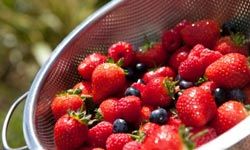 strainer with berries