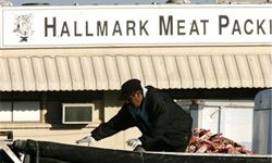 westland/hallmark meat recall