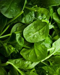 spinach recall