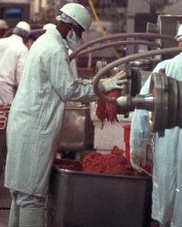 Employees process ground beef in a Hudson plant a few weeks before the company is sold to Tyson Foods.