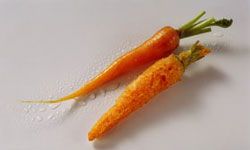 carrot