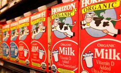 Organic milk is produced by cows that have had organic diets and are not injected with antibiotics.