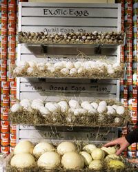 Some stores now sell exotic organic eggs.