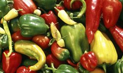 Organically grown heirloom peppers avoid the problem of pesticide absorption.