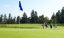 golfers walking toward putting green