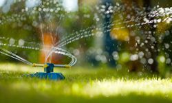 watering the lawn