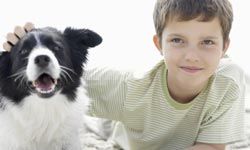 Boy with dog