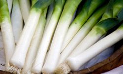 leeks