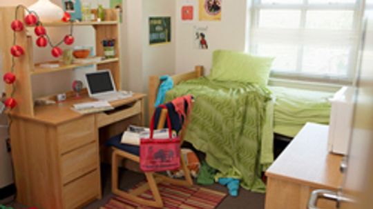 10 Habits That Prevent Pests in Your Dorm Room