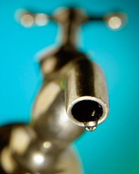 Tighten those leaky faucets to discourage bugs and rodents from drinking.