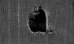 If you have holes in your window screens, it's a good idea to patch them up to keep pests out.