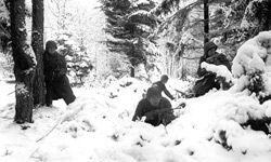 A photograph of the real Battle of the Bulge, complete with a very snowy Belgian forest.