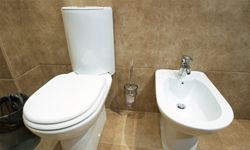 Bidets may sit next to toilets, or the functionality can be built into the toilet itself.