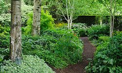 You can even build a path through your woodland garden. 