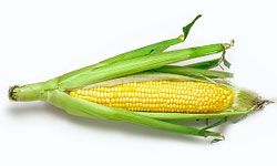 Corn is cheap, versatile and delicious! See more vegetable pictures.