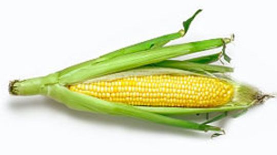 10 Low-budget Uses for Corn