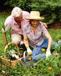 Senior couple gardening