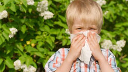 10 Worst Plants for Your Allergies