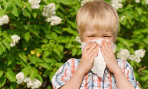 10 Worst Plants for Your Allergies