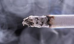 close-up of lit cigarette