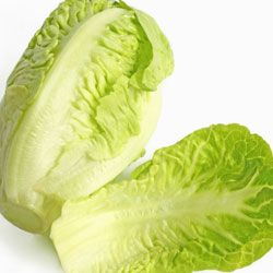 lettuce