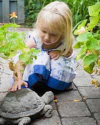 Flagstone can be a variety of different stones, but it's usually thin and built for walking purposes.