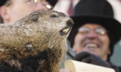 Who needs weather satellites? We've got a woodchuck!