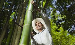 This man may not be a survivalist, but he knows the value of a machete.