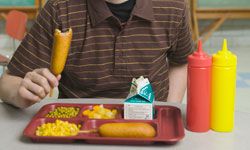 学校午餐玉米热狗即将消失。看看你应该在这些午餐盒图片中包装。＂width=