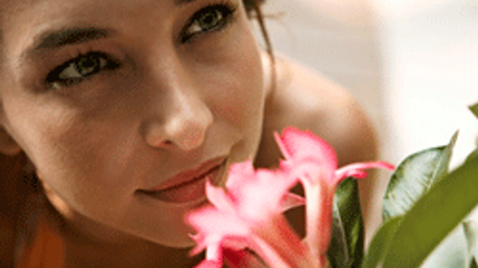 10 Sources for Exotic Fragrances