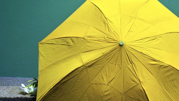 yellow umbrella