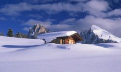 A wooden home that's snowed in.&nbsp;