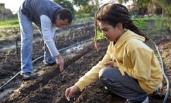 father and daughter planting garden