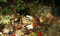This compost pile will yield nutrient-rich material for your garden.