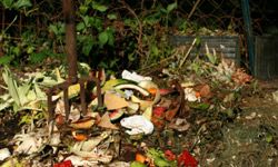 An image of a household compost pile.&nbsp;