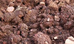 A close up of loam-based soil.&nbsp;