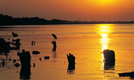 10件阿拉斯加和阿拉巴马州的共同点”class=