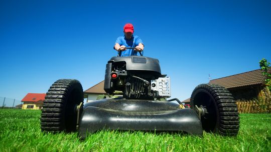 5 Spring Lawn Care Tips